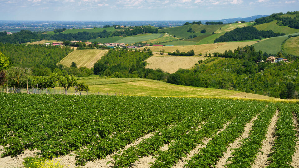 malvasia-territorio-1920x1080